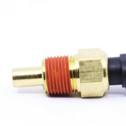 UNITED MOTOR PRODUCTS CTS1