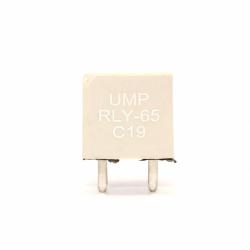 UNITED MOTOR PRODUCTS RLY65