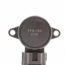 UNITED MOTOR PRODUCTS TPS163