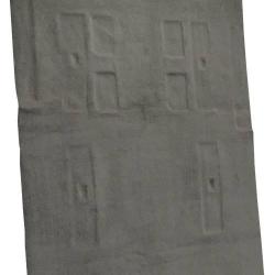 ACC 17260160
