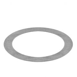 IAP 113105281A