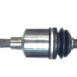 AUTO EXTRA / CHASSIS RITE 179038