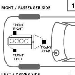 AUTO EXTRA / CHASSIS RITE 3019