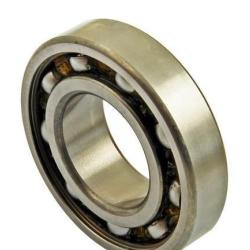 AUTO EXTRA / CHASSIS RITE 511024