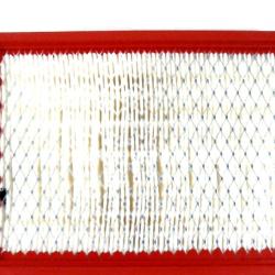 AUTO EXTRA / CHASSIS RITE 61946153