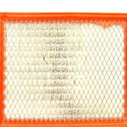 AUTO EXTRA / CHASSIS RITE 61946213