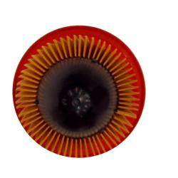 AUTO EXTRA / CHASSIS RITE 61946406