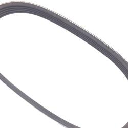 AUTO EXTRA / CHASSIS RITE 200K5