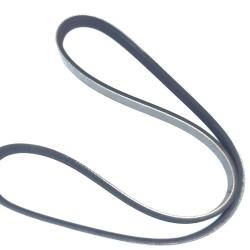 AUTO EXTRA / CHASSIS RITE 338K4