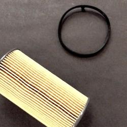 AUTO EXTRA / CHASSIS RITE 61851226