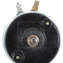 REMY 15273