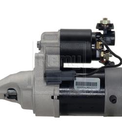 REMY 17209
