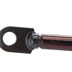 STRONGARM 4850