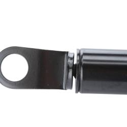 STRONGARM 4851