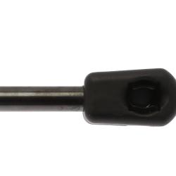 STRONGARM 6215