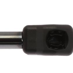 STRONGARM 4361