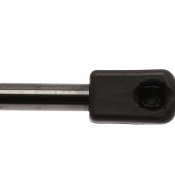 STRONGARM 4067