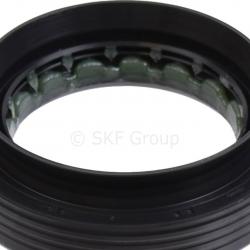 SKF 19019