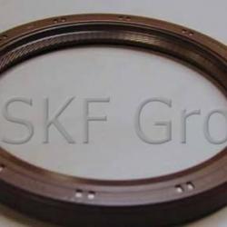 SKF 29519