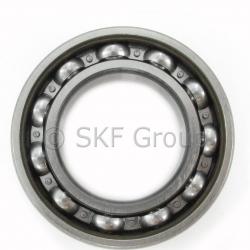 SKF 6007RSJ