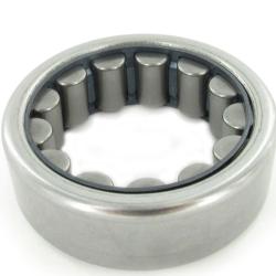 SKF R1559