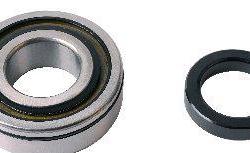 SKF RW307R