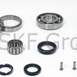 SKF STK248