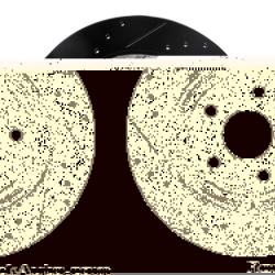 R1 CONCEPTS 63342006R