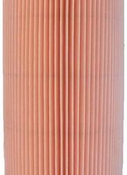 CHAMP / LUBER-FINER AF412