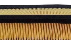 CHAMP / LUBER-FINER LAF5028