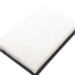 CHAMP / LUBER-FINER AF1032A