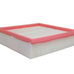 CHAMP / LUBER-FINER AF295