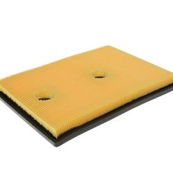 CHAMP / LUBER-FINER AF3619