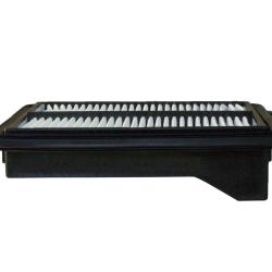 CHAMP / LUBER-FINER AF4020