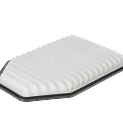 CHAMP / LUBER-FINER AF4025