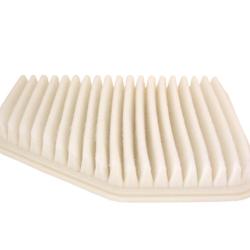 CHAMP / LUBER-FINER AF4049