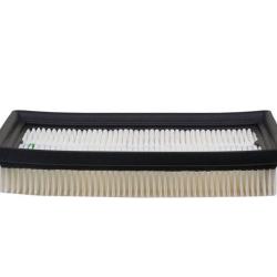 CHAMP / LUBER-FINER AF4065