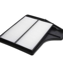 CHAMP / LUBER-FINER AF5220