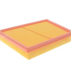 CHAMP / LUBER-FINER AF5250