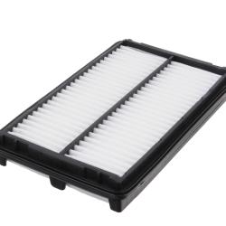 CHAMP / LUBER-FINER AF7919