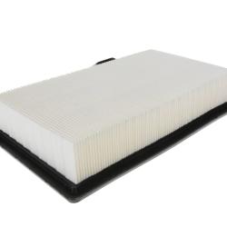 CHAMP / LUBER-FINER AF9918