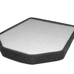 CHAMP / LUBER-FINER CAF1718