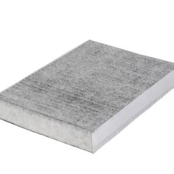 CHAMP / LUBER-FINER CAF1919C