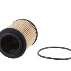 CHAMP / LUBER-FINER P1015