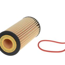 CHAMP / LUBER-FINER P1017XL