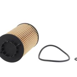 CHAMP / LUBER-FINER P1019