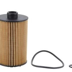 CHAMP / LUBER-FINER P1019