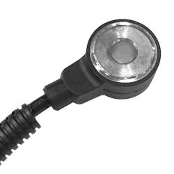 FAMOUS BRAND 1904300678