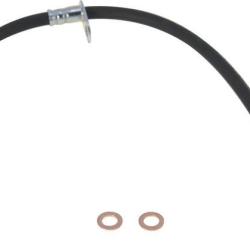 FAMOUS BRAND 147411442