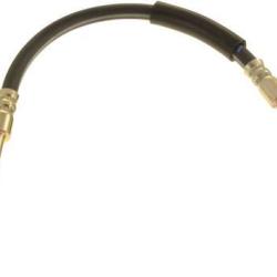 FAMOUS BRAND 147417546